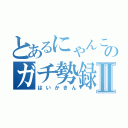 とあるにゃんこのガチ勢録Ⅱ（はいかきん）