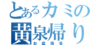 とあるカミの黄泉帰り（お盆帰省）