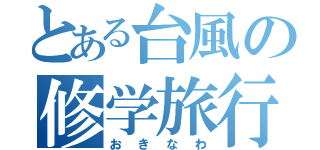 とある台風の修学旅行（おきなわ）