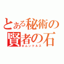 とある秘術の賢者の石（ホムンクルス）