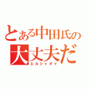 とある中田氏の大丈夫だ（エルシャダイ）