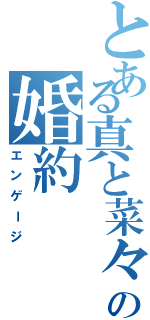 とある真と菜々の婚約（エンゲージ）