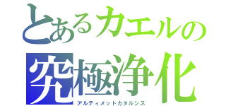とあるカエルの究極浄化（アルティメットカタルシス）