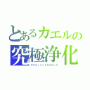 とあるカエルの究極浄化（アルティメットカタルシス）