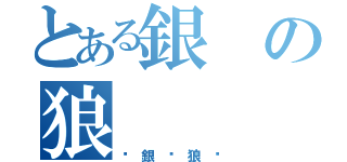 とある銀の狼（✖銀☩狼✖）