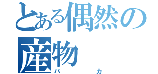 とある偶然の産物（バカ）