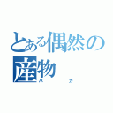 とある偶然の産物（バカ）