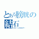 とある膀胱の結石（ストーンホルダー）