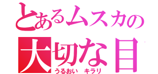 とあるムスカの大切な目（うるおい キラリ）