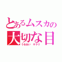 とあるムスカの大切な目（うるおい キラリ）