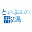 とあるぶんの升活動（チート）