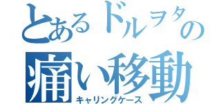 とあるドルヲタの痛い移動容器（キャリングケース）