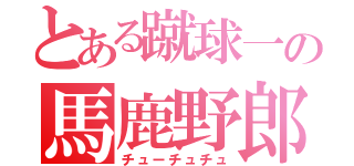 とある蹴球一の馬鹿野郎（チューチュチュ）