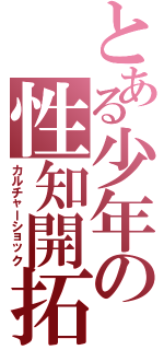 とある少年の性知開拓（カルチャーショック）