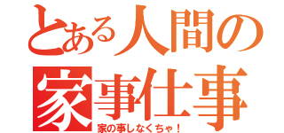 とある人間の家事仕事（家の事しなくちゃ！）