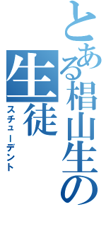 とある椙山生の生徒（スチューデント）