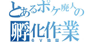 とあるポケ廃人の孵化作業（６Ｖ地獄）