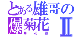 とある雄哥の爆菊花Ⅱ（菊花圖）