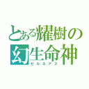 とある耀樹の幻生命神（ゼルネアス）