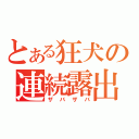 とある狂犬の連続露出（ザバザバ）