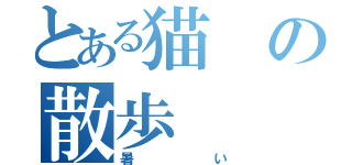 とある猫の散歩（暑い）