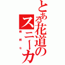 とある花道のスニーカー（横柄な）