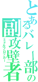 とあるバレー部の副攻壁者（ミドルブロッカー）