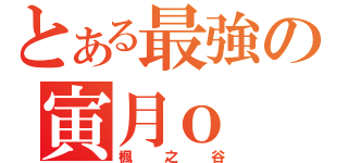 とある最強の寅月ｏ（楓之谷）