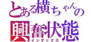 とある横ちゃんの興奮状態（インデックス）