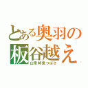 とある奥羽の板谷越え（山形特急つばさ）