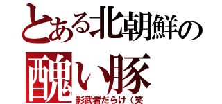 とある北朝鮮の醜い豚（影武者だらけ（笑）