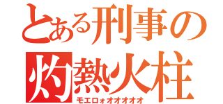 とある刑事の灼熱火柱（モエロォオオオオオ）