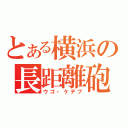 とある横浜の長距離砲（ウゴ・ケデブ）