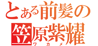 とある前髪の笠原紫耀（ワカメ）