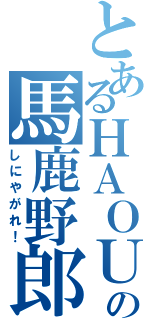 とあるＨＡＯＵの馬鹿野郎（しにやがれ！）