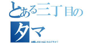 とある三丁目のタマ（お探しのネコはこちらですか？）