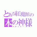 とある紅魔館の本の神様（パチュリー）