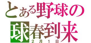 とある野球の球春到来（２月１日）