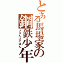 とある馬場家の鋼鉄少年（メタルはごはん）