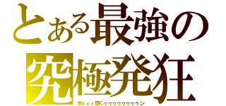 とある最強の究極発狂（木ィィィ原くゥゥゥゥゥゥゥゥン）