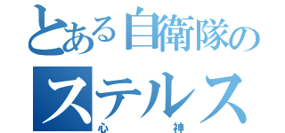 とある自衛隊のステルス機（心神）