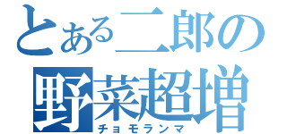 とある二郎の野菜超増（チョモランマ）