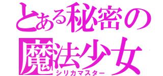 とある秘密の魔法少女（シリカマスター）