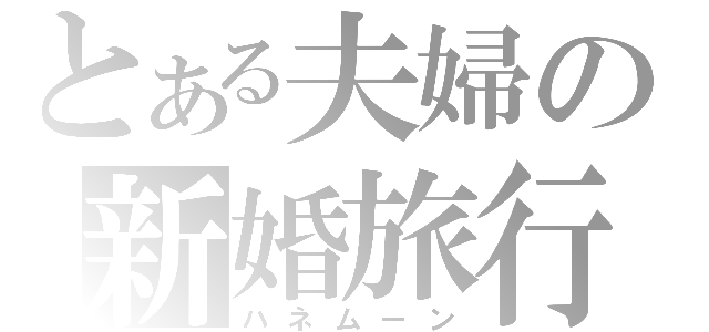 とある夫婦の新婚旅行（ハネムーン）