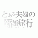 とある夫婦の新婚旅行（ハネムーン）