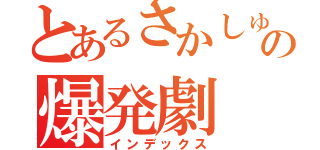 とあるさかしゅうの爆発劇（インデックス）