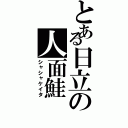 とある日立の人面鮭（シャシャケイタ）