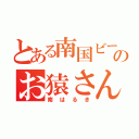 とある南国ビーチのお猿さん（南はるき）