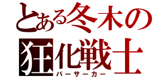 とある冬木の狂化戦士（バーサーカー）