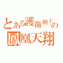 とある護衛剣士の鳳凰天翔駆（）